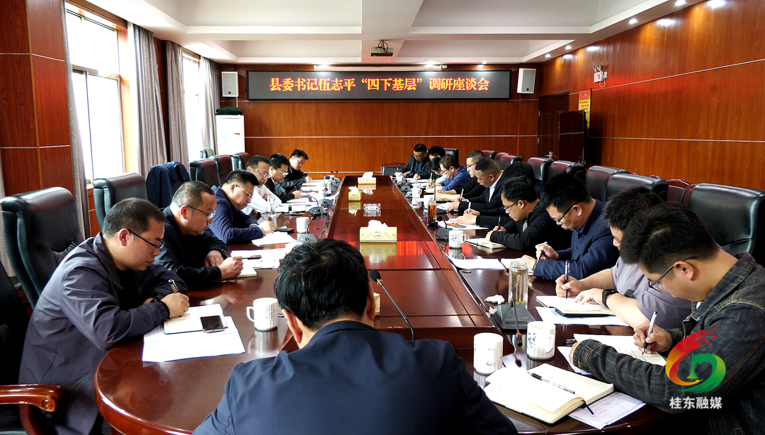伍志平“四下基层”调研沤江镇工作
