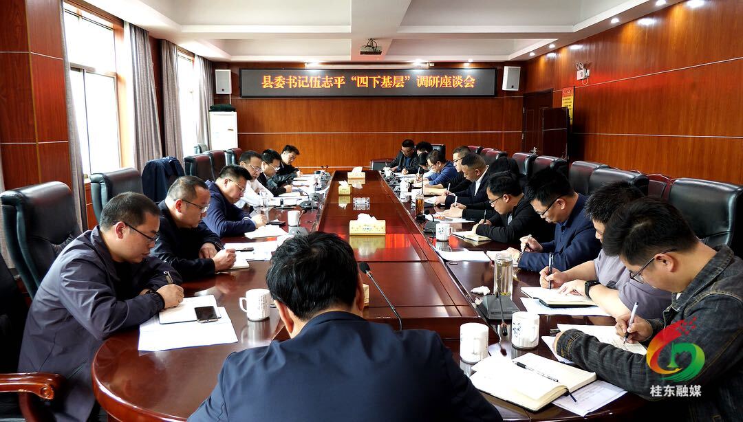 伍志平“四下基层”调研沤江镇工作