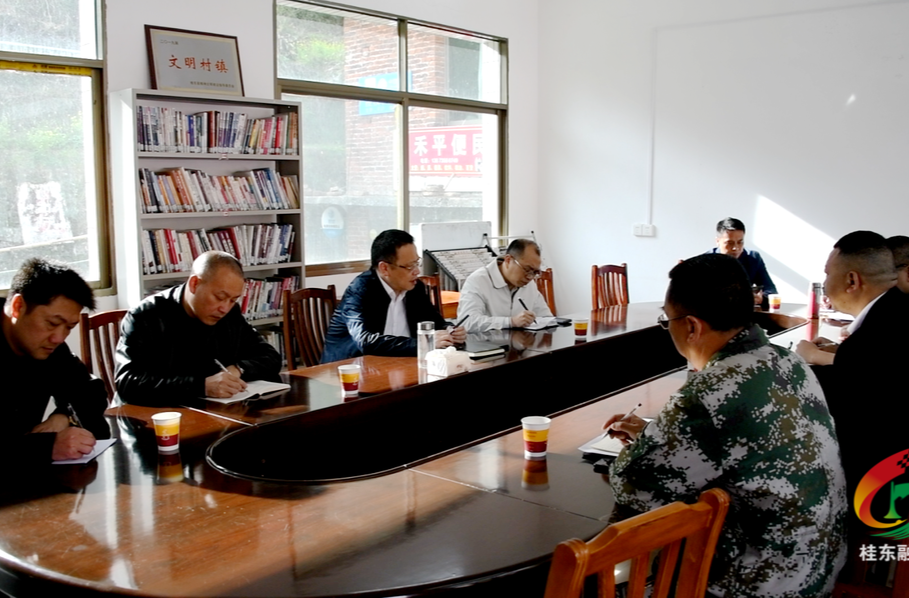 伍志平调研禾坪村旅游发展和乡村振兴等工作