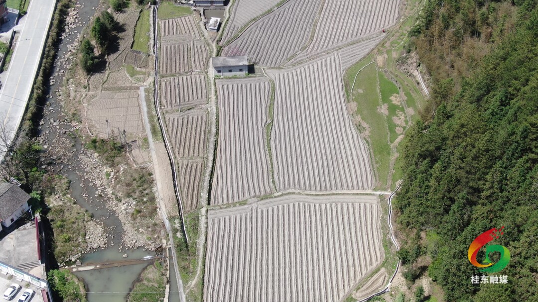 新坊乡：高标准农田建设忙 夯实基础助春耕