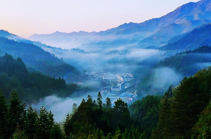 湖南桂东：守好青山绿 共建幸福村
