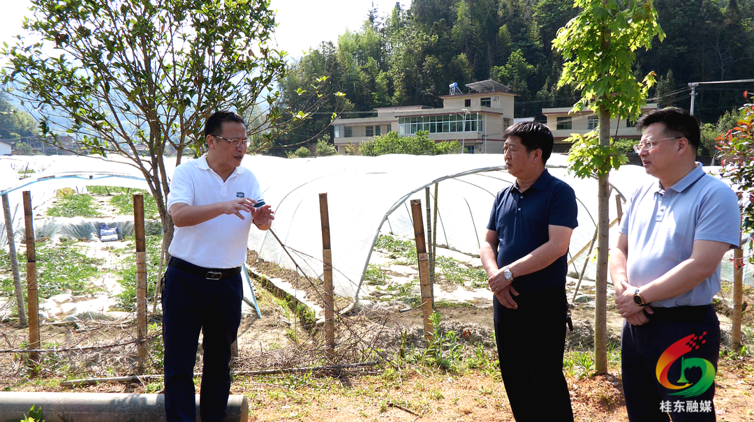 伍志平“四下基层”调研东洛乡工作