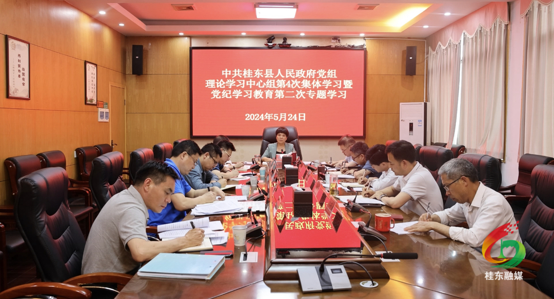 县政府党组理论学习中心组开展2024年第4次集体学习 暨党纪学习教育第二次专题学习