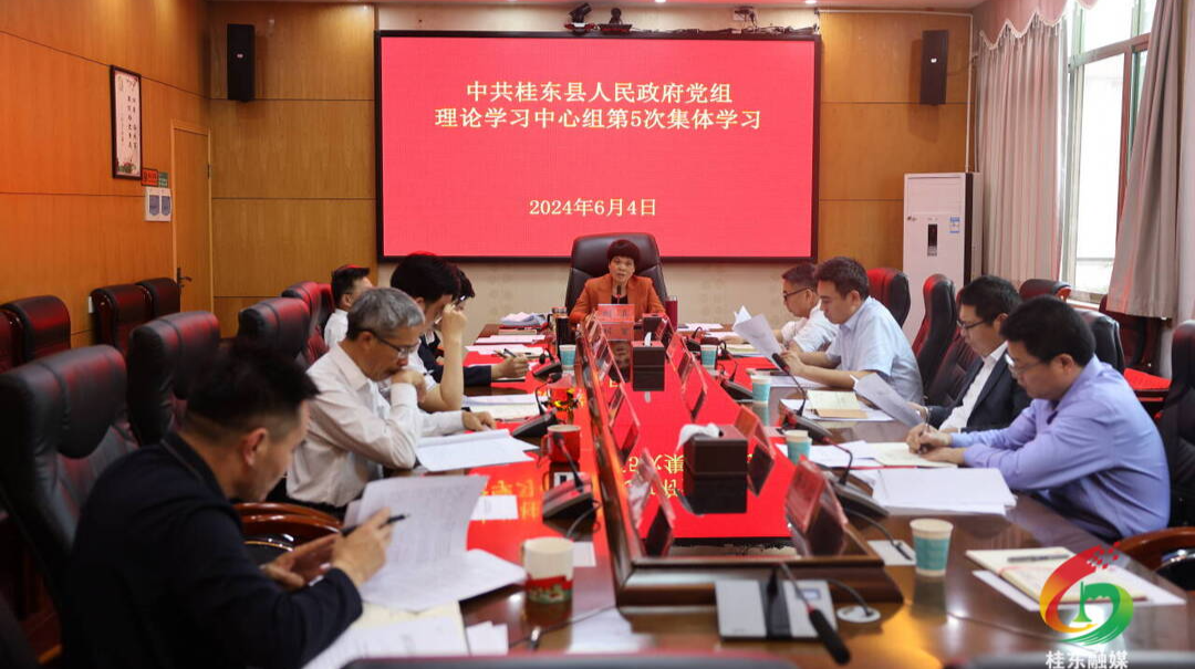 县政府党组理论学习中心组开展2024年第5次集体学习