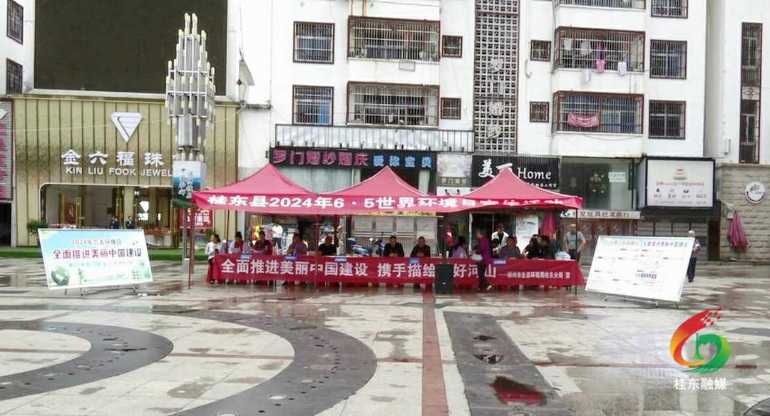 桂东开展2024年“六·五”世界环境日主题宣传活动