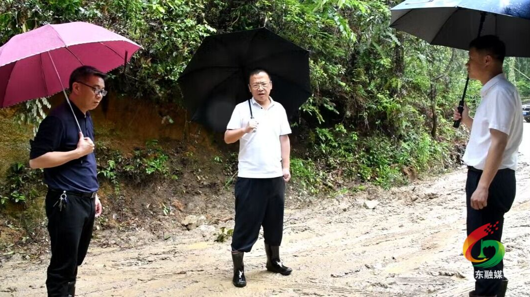 伍志平“四下基层”调研文旅项目工作
