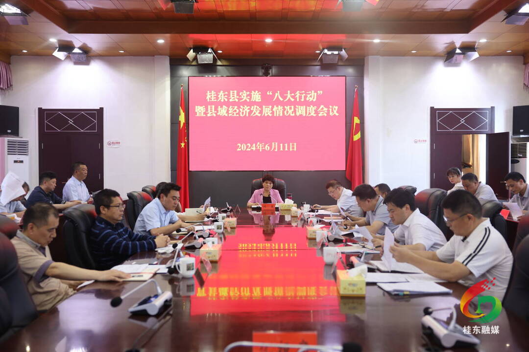 全县实施“八大行动”暨县域经济发展情况调度会召开