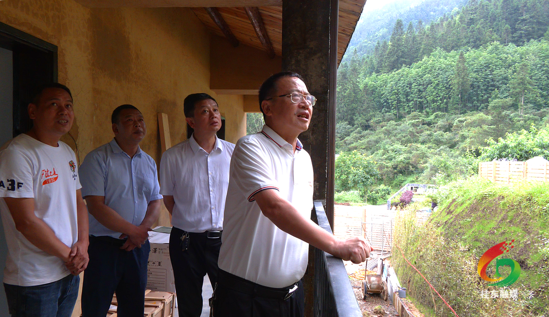 伍志平“四下基层”调研“唤醒老屋”工作