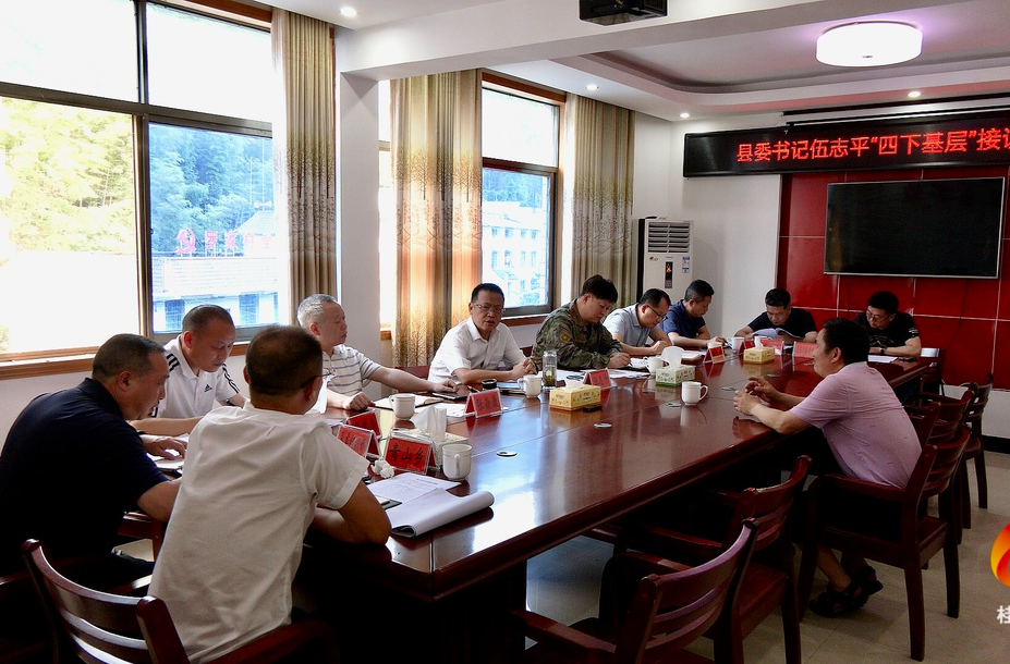 伍志平“四下基层”到青山乡接访