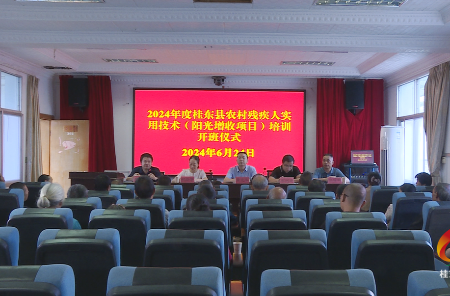 全面实施八大行动|“阳光增收”培训为残疾人传授“致富经”