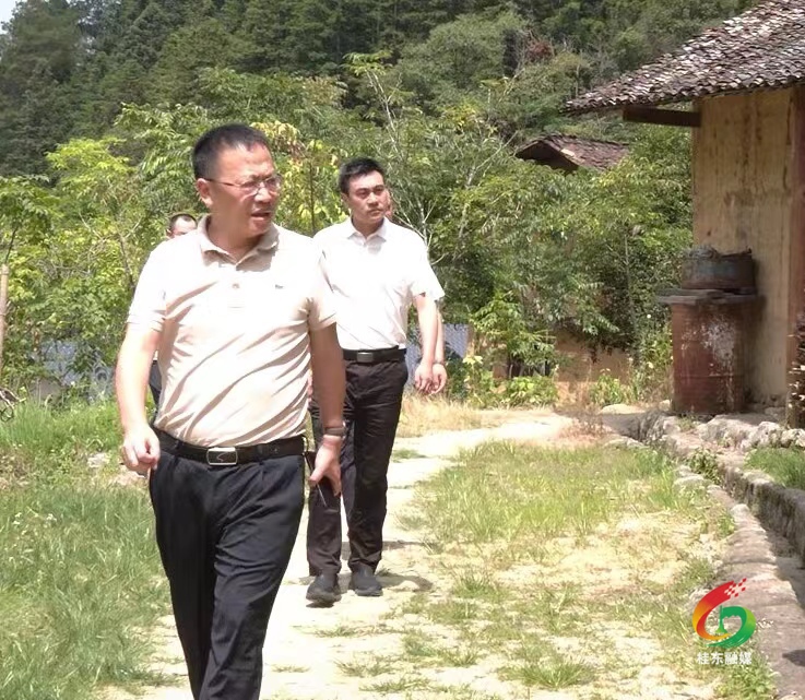 伍志平“四下基层”调研农旅产业发展工作