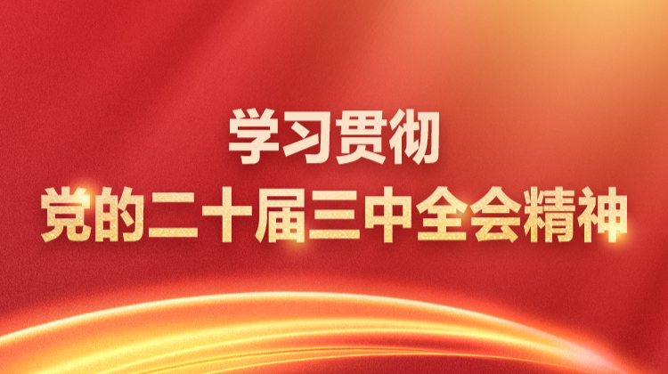 学习贯彻党的二十届三中全会精神