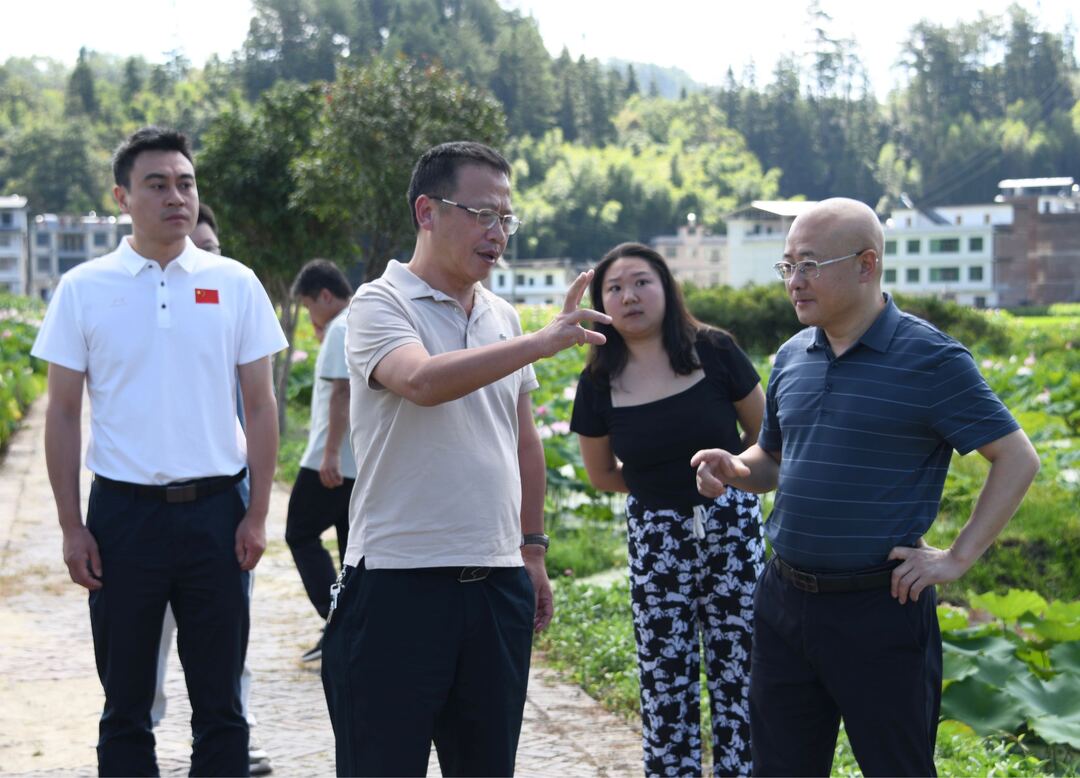 伍志平调研寨前新坊旅游工作