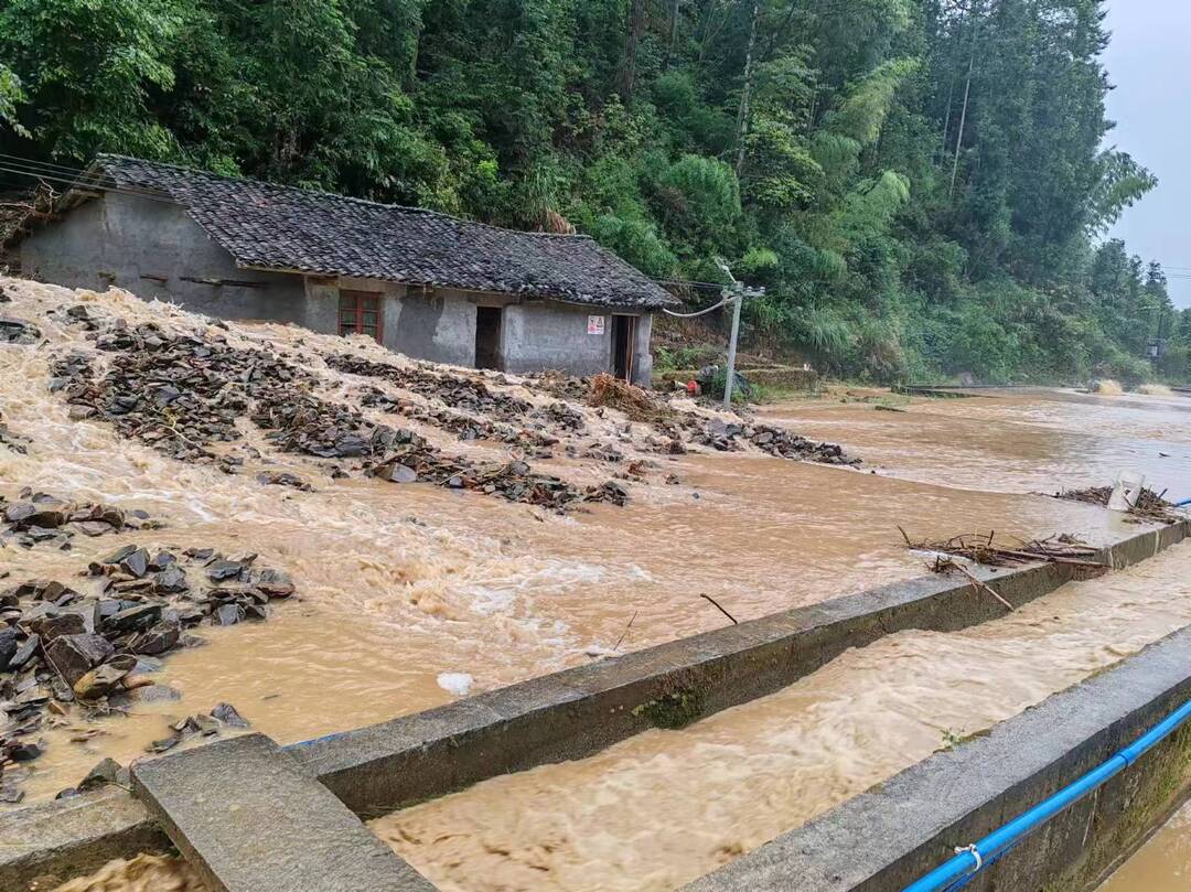桂东县积极指导畜牧水产灾后恢复生产工作