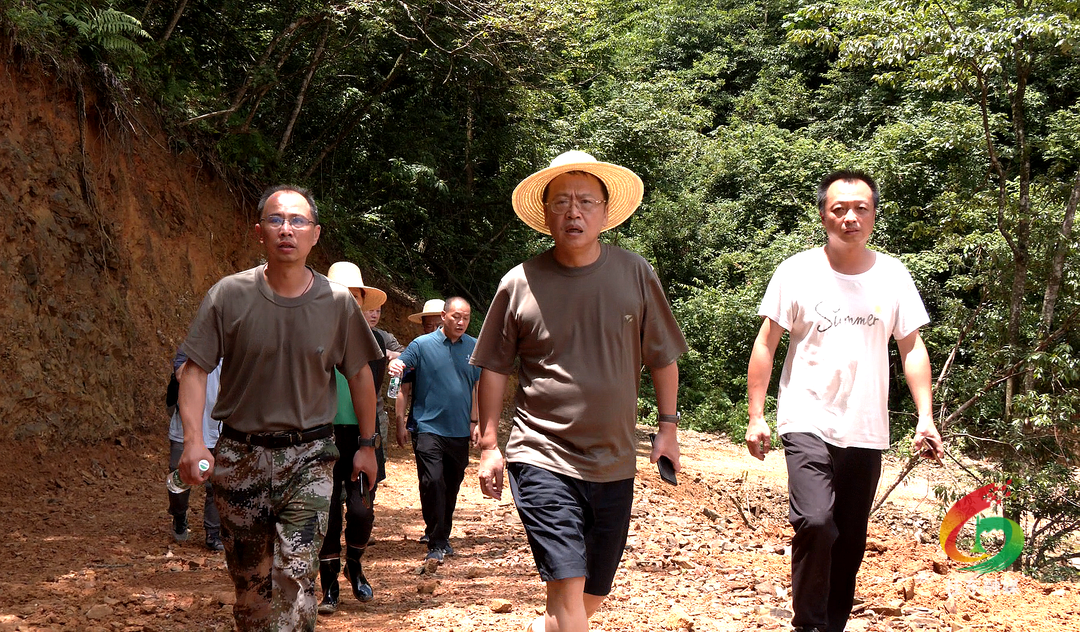 伍志平到青山乡检查调度灾后恢复重建工作