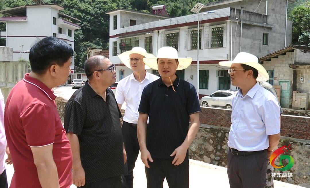 省农业农村厅来我县调研指导防汛救灾工作