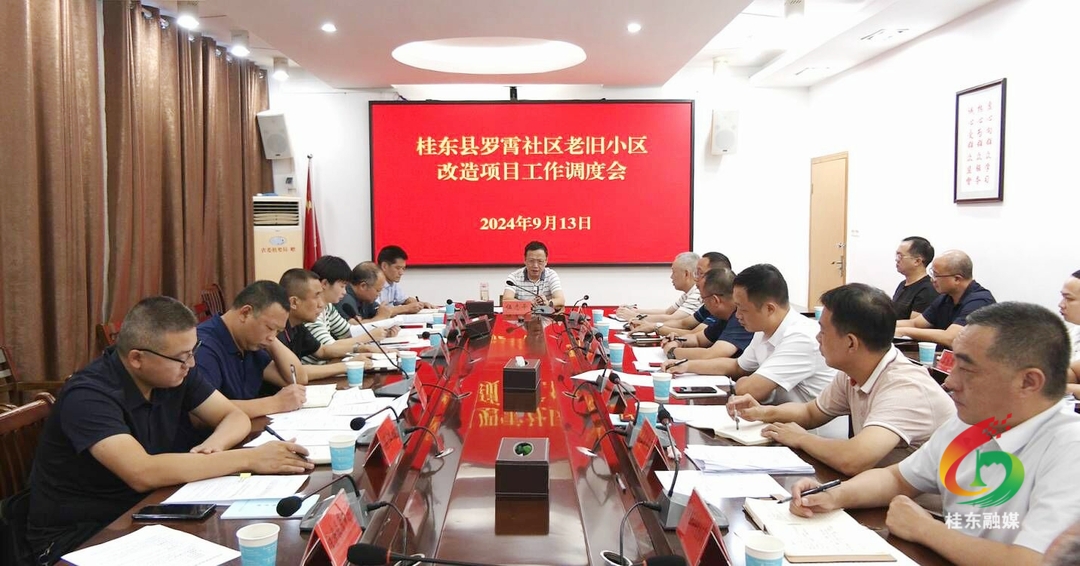 伍志平专题调度罗霄社区老旧小区改造工作