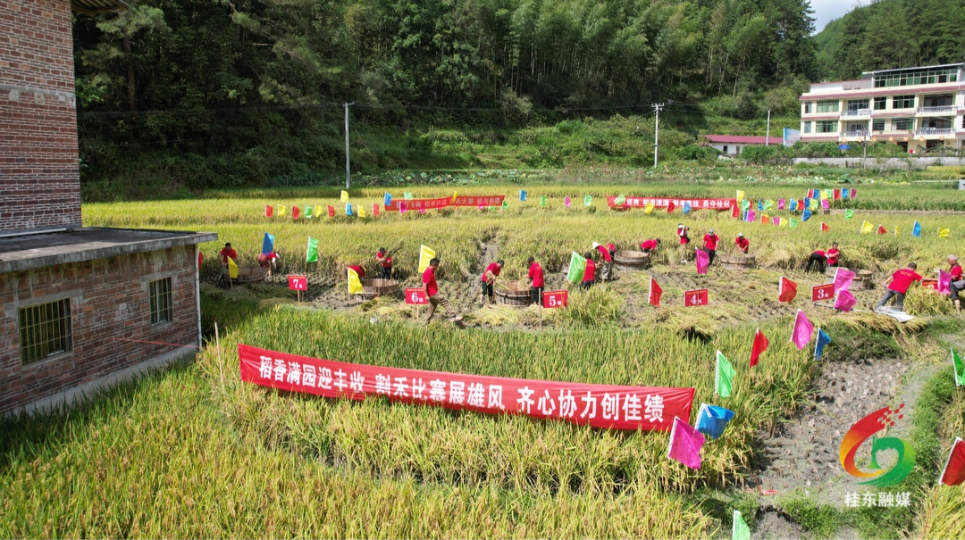 桂东：举办农民丰收节 共绘乡村新画卷