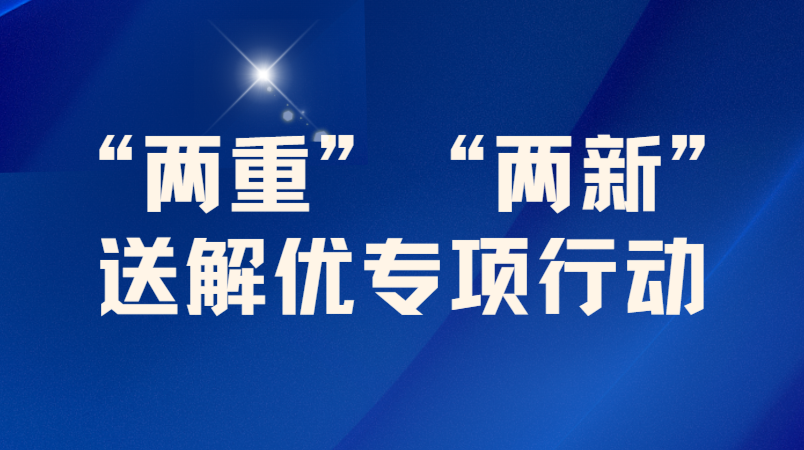 桂东县“两重”“两新”送解优专项行动
