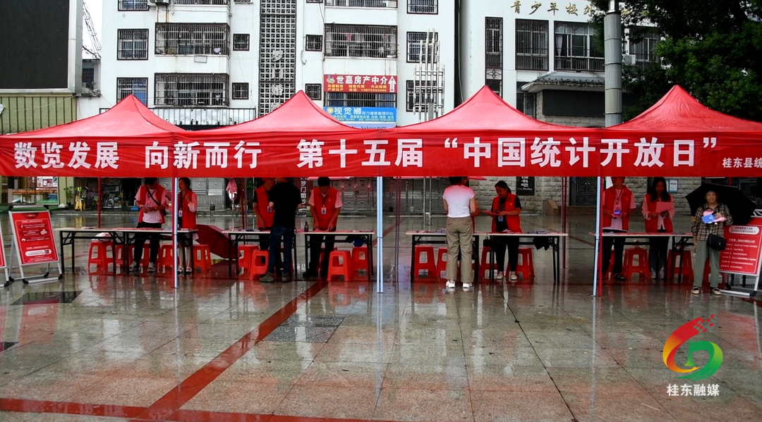 桂东开展第十五届“中国统计开放日”宣传活动
