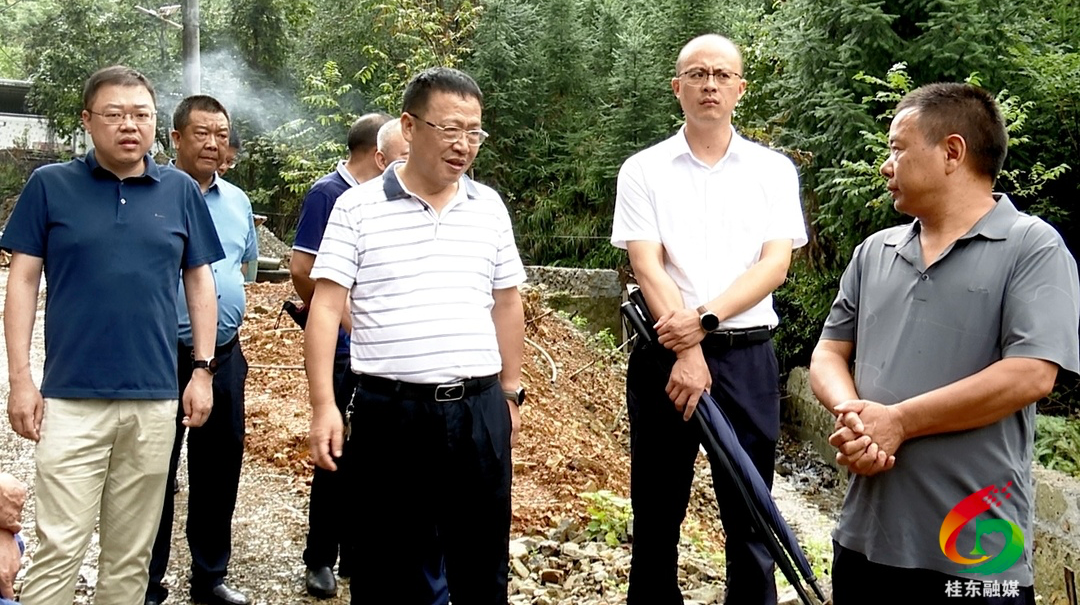 伍志平“四下基层”调研四都镇工作
