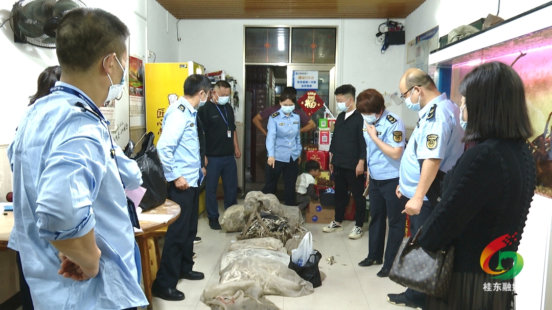 桂东开展野生动物保护专项执法行动