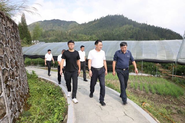 尹建恒“四下基层”调研沤江镇工作