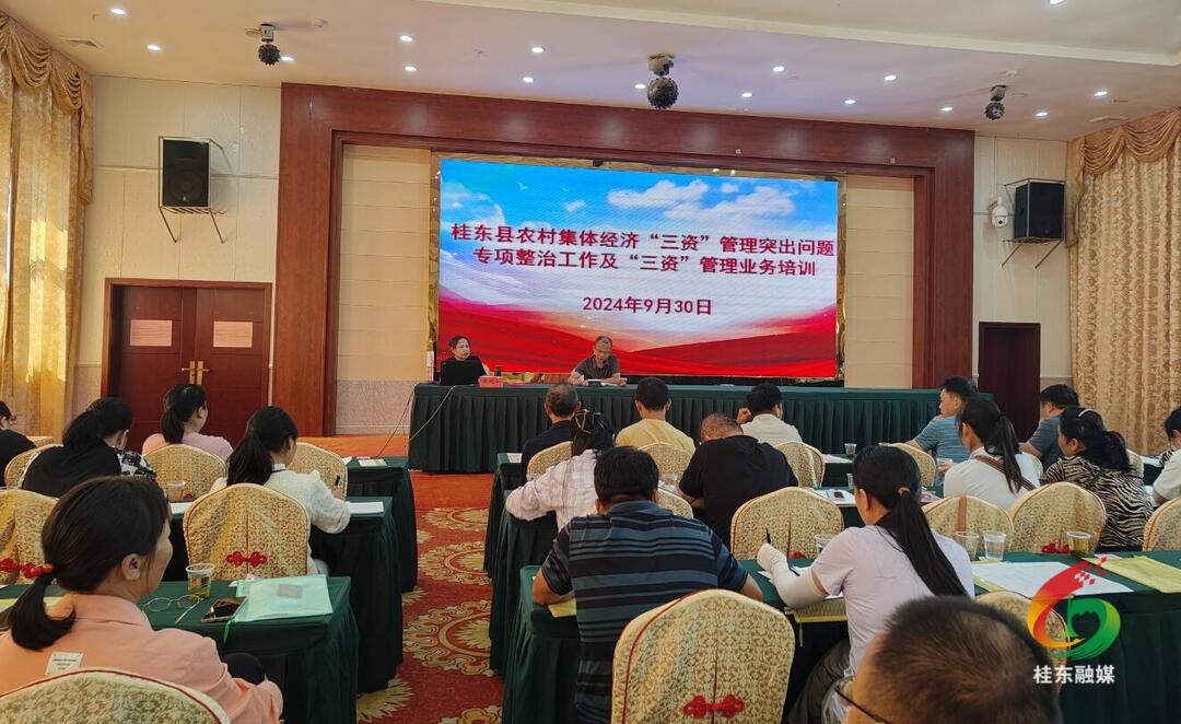 桂东：守好用活群众“钱袋子”  这场培训干货满满
