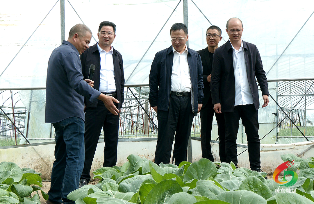 桂东召开2024年巩固拓展脱贫攻坚成果同乡村振兴有效衔接推进会