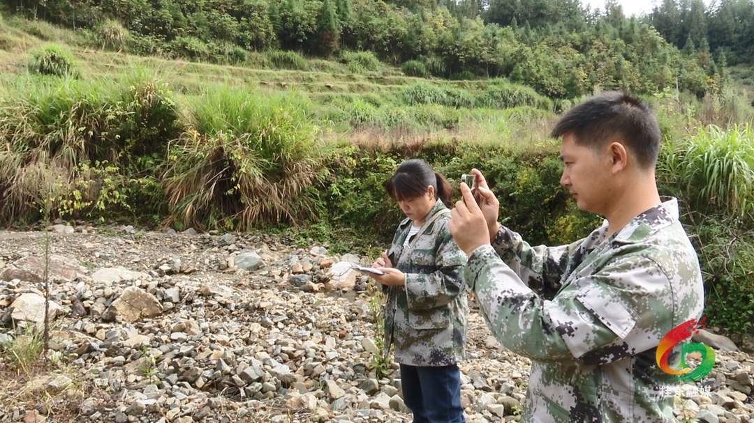 沤江镇：守牢耕地红线 扎实推进永久基本农田恢复整改