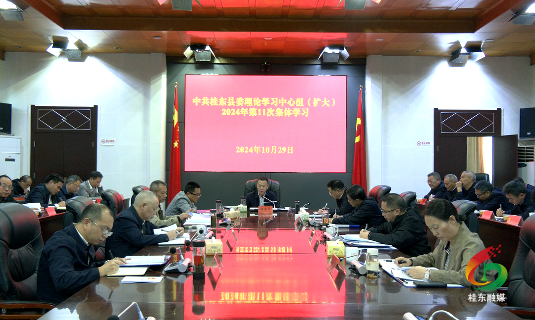 县委理论学习中心组开展2024年第11次集体（扩大）学习