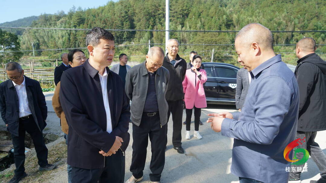 桂东开展2024年“农民健康行”“民族团结进步行”“农产品质量安全行”主题活动
