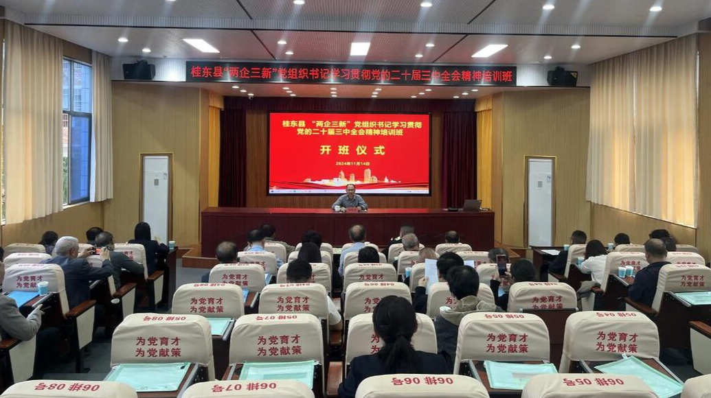 桂东举办“两企三新”党组织书记培训  学习贯彻党的二十届三中全会精神