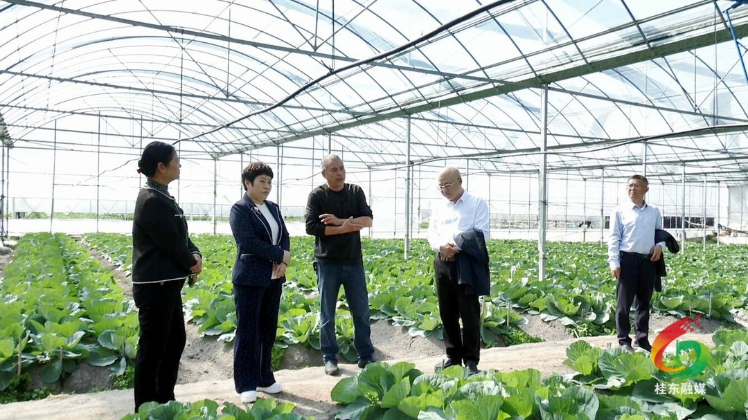 市人大调研桂东旅游设施建设工作和医养结合情况