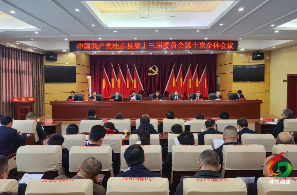 快讯|中共桂东县委十三届十次全会召开
