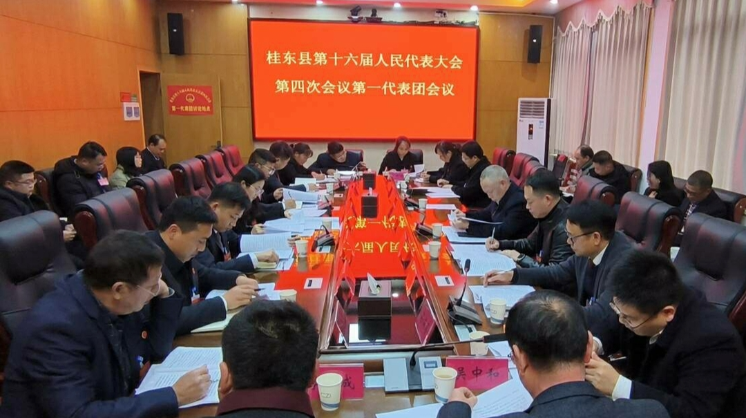 聚焦两会|县人大各代表团进行分组审议