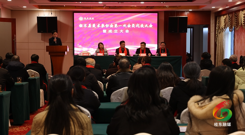 桂东县美术家协会正式成立