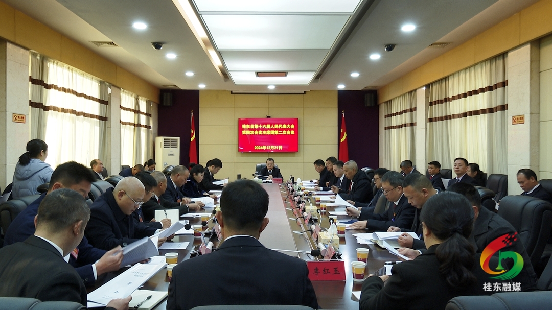 聚焦两会|桂东县十六届人大四次会议召开主席团第二次会议