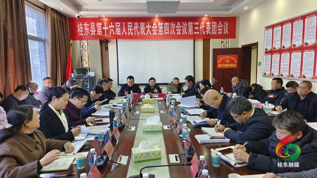 聚焦两会|桂东县十六届人大四次会议召开主席团第三次会议