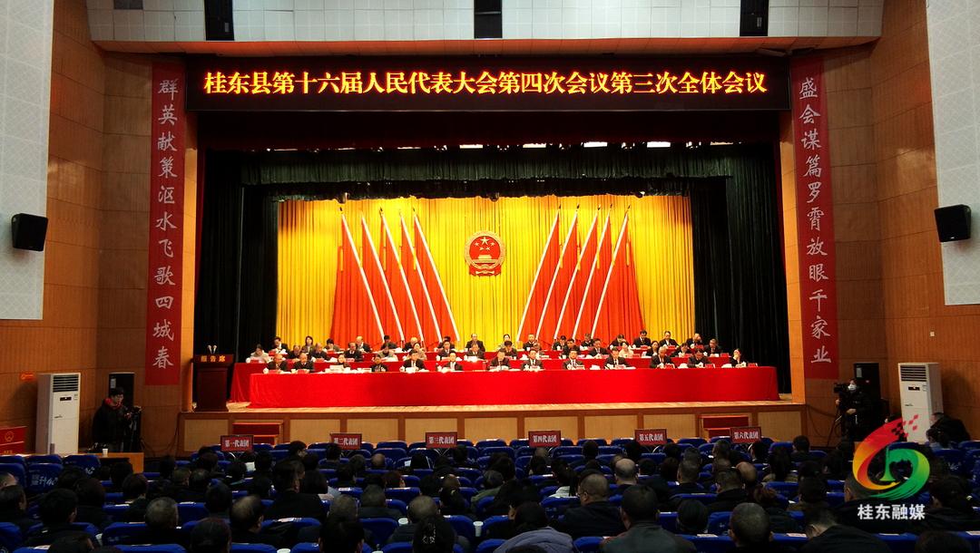 聚焦两会|桂东县人大代表票决出2025年六大民生实事项目