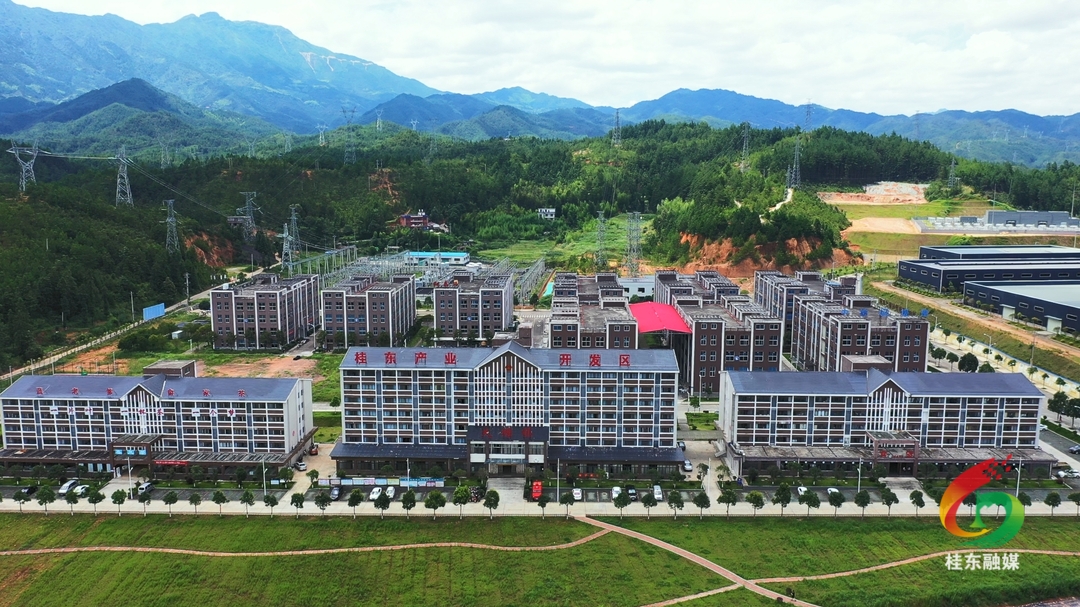 2024桂东答卷（五）：抓改革 提效能 发展动能稳步增强