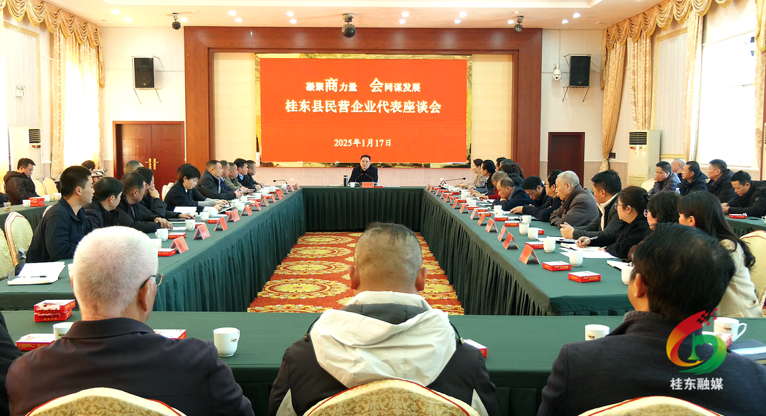 桂东召开民营企业代表座谈会