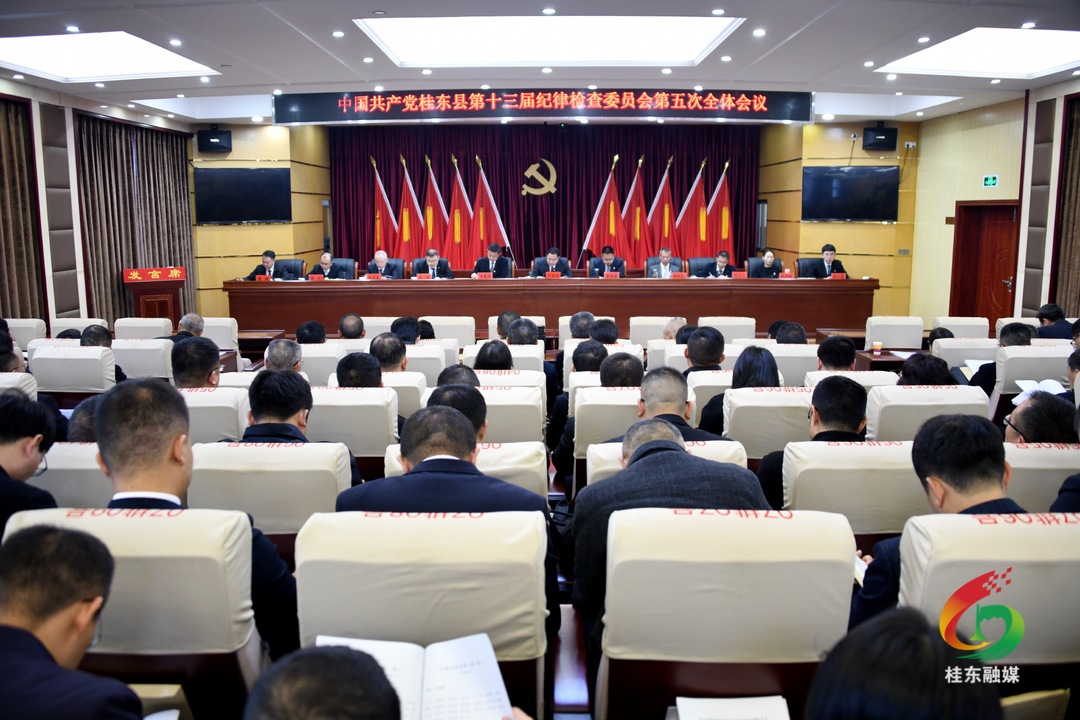 桂东县第十三届纪委第五次全会召开