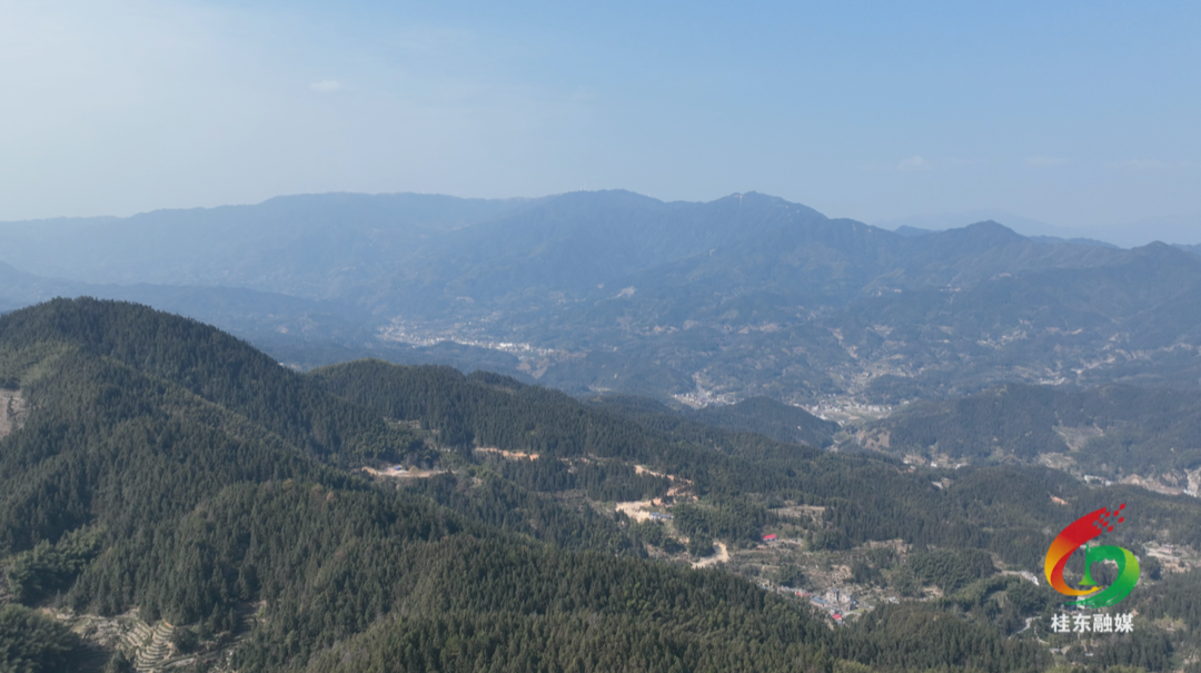 新春走基层 |护林防火“弦紧绷”  防患未“燃”护青山