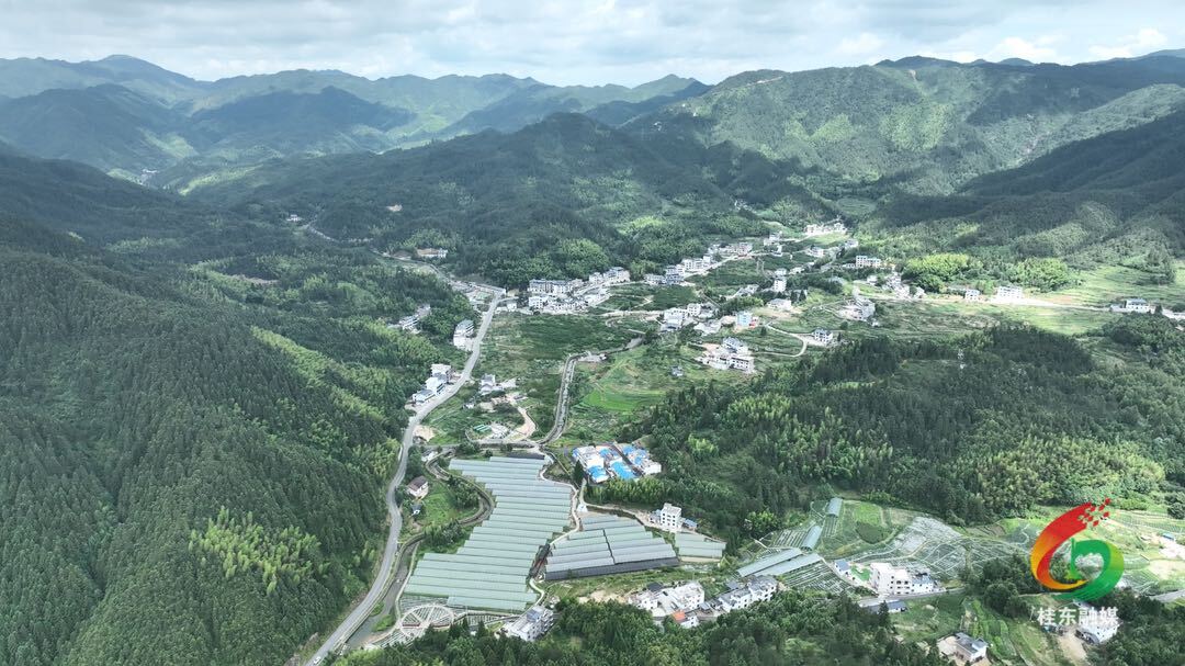 新春走基层|青竹村：天赐“凉”机焕新颜 和美乡村绘新篇