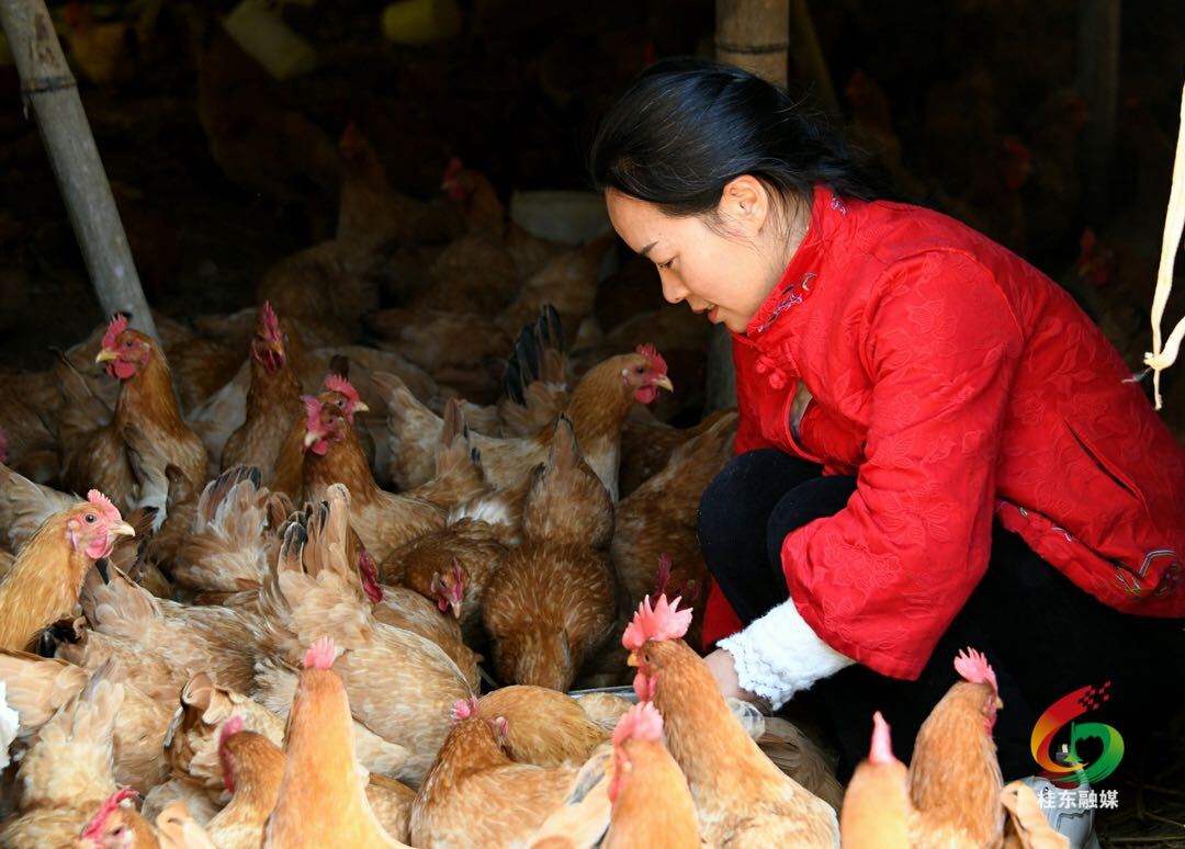 新春走基层|郭丽红：新农人织就生态养殖梦