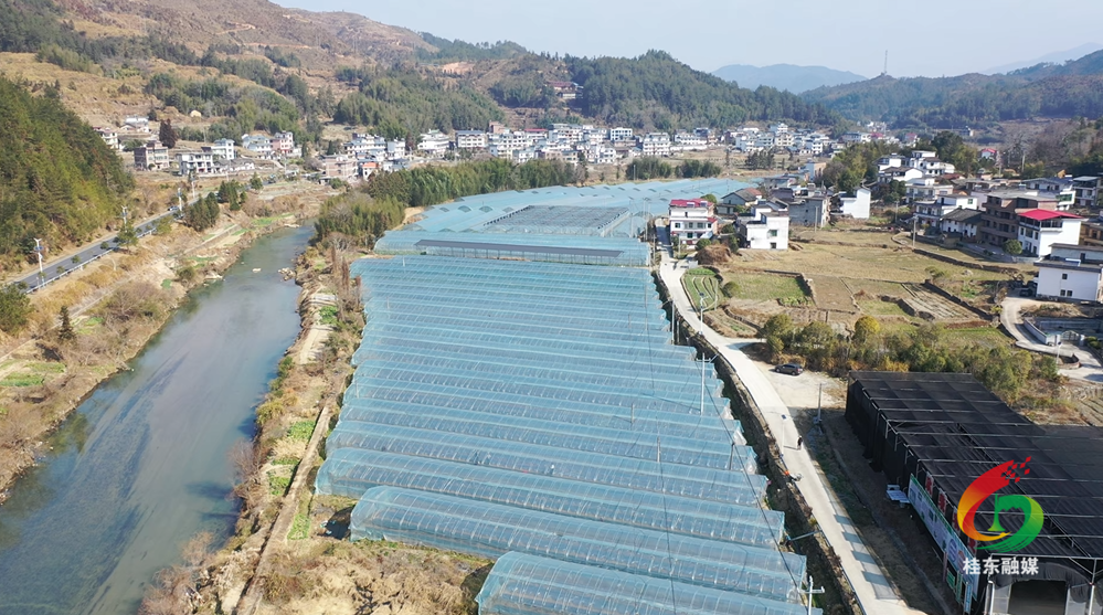 开年就开战 聚力加油干|寨前镇：抢抓时节备春耕 蔬菜基地春意浓