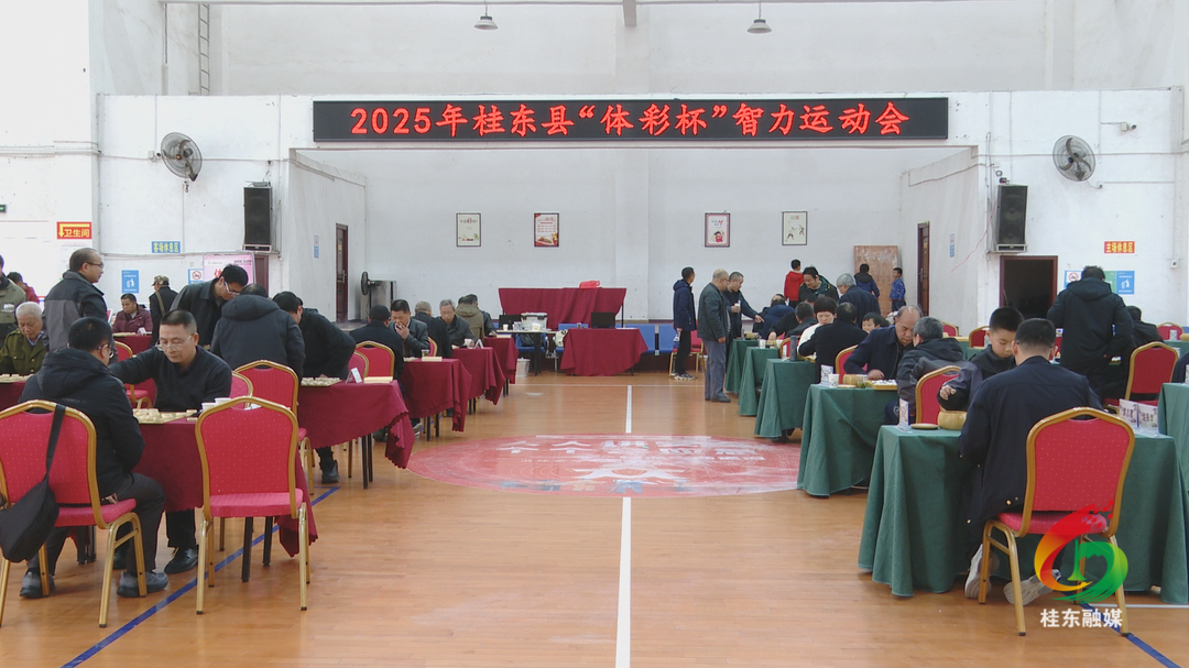 桂东成功举办首届智力运动会