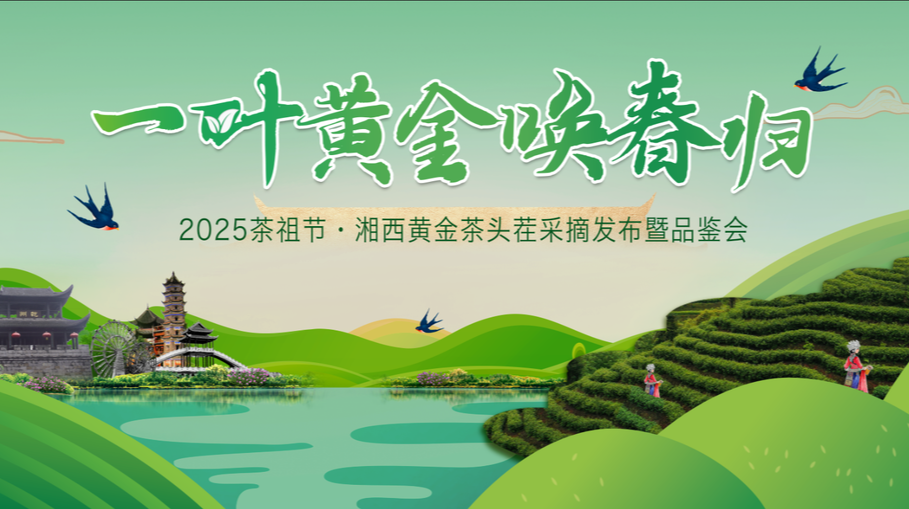 2025茶祖节·湘西黄金茶头茬采摘发布暨品鉴会