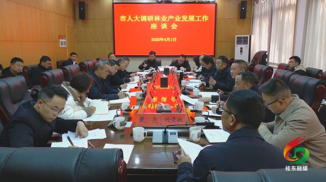 市人大调研桂东林业产业发展情况
